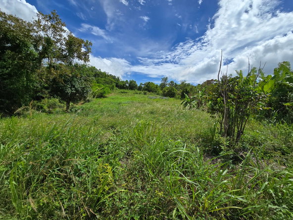 Fourth image of Roseberry Malvern, st Elizabeth in Malvern, St. Elizabeth, Jamaica - property is For Sale