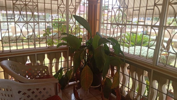 Fifteenth image of 69a Longwood Santa Cruz in Santa Cruz, St. Elizabeth, Jamaica - property is For Sale