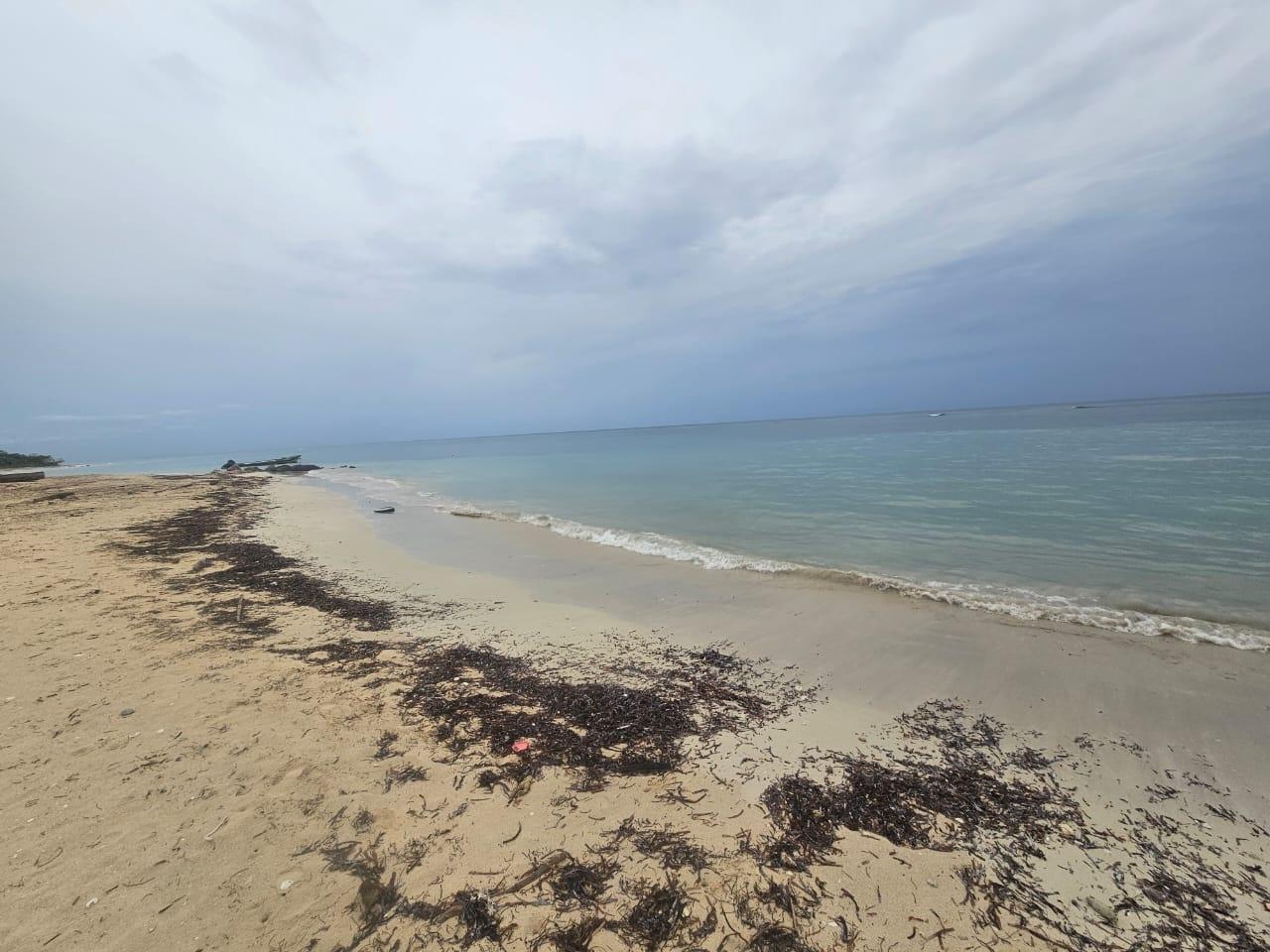 Twenty-Second image of Apt A23 Sea Castles in Rose Hall, St. James, Jamaica - property is For Rent