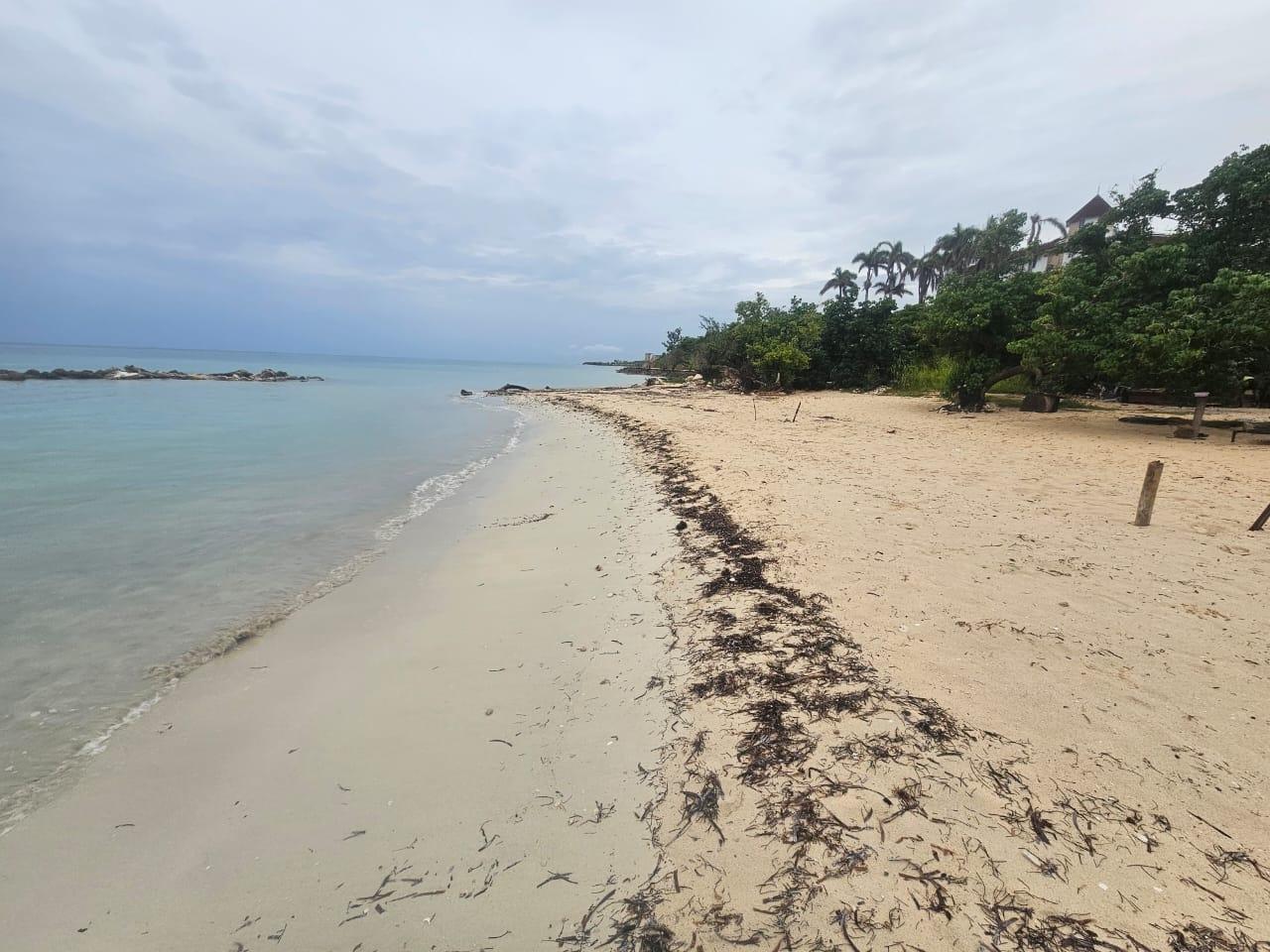 Twenty-Third image of Apt A23 Sea Castles in Rose Hall, St. James, Jamaica - property is For Rent