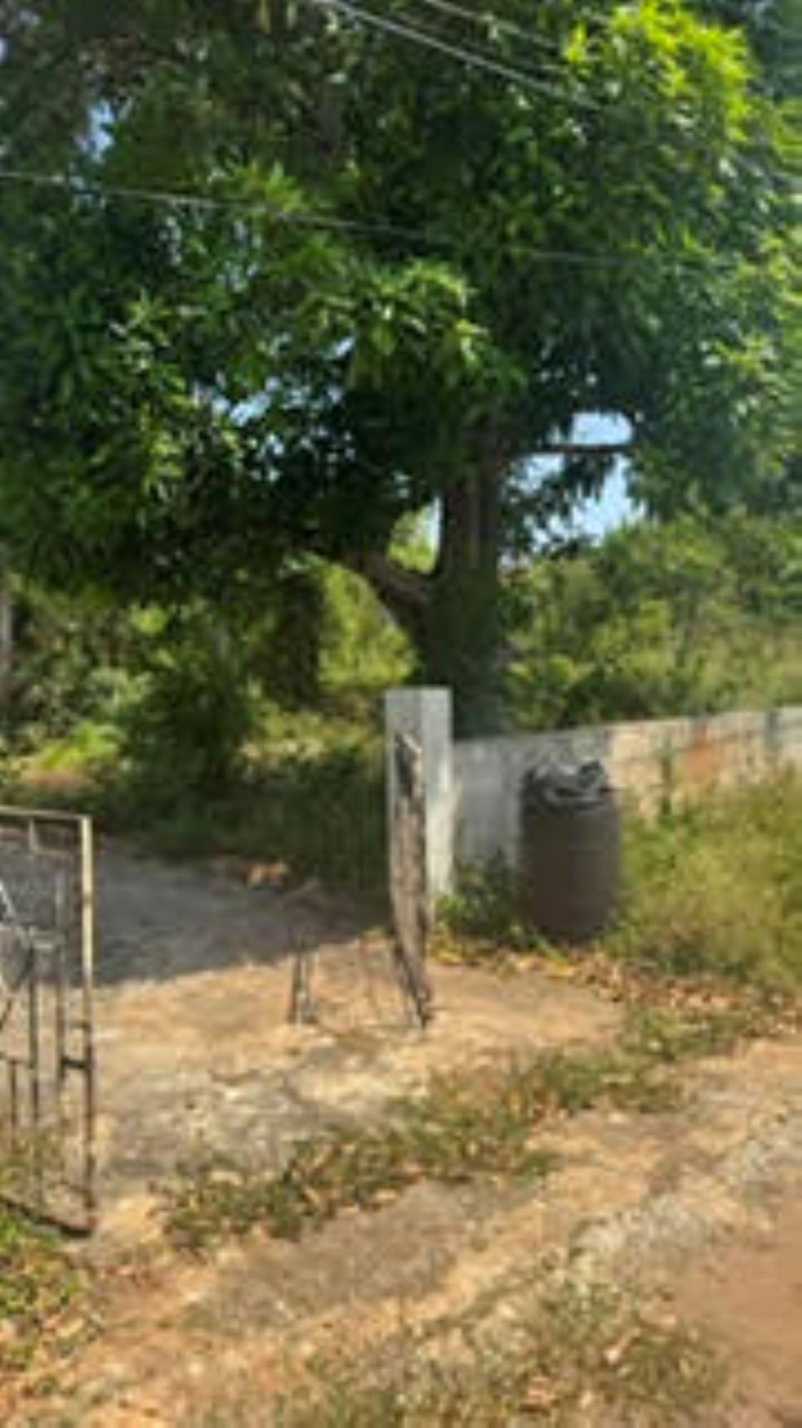 Eighth image of Lot 61a St. Pauls Way, Green Acre in Green Acres, St. Catherine, Jamaica - property is For Sale