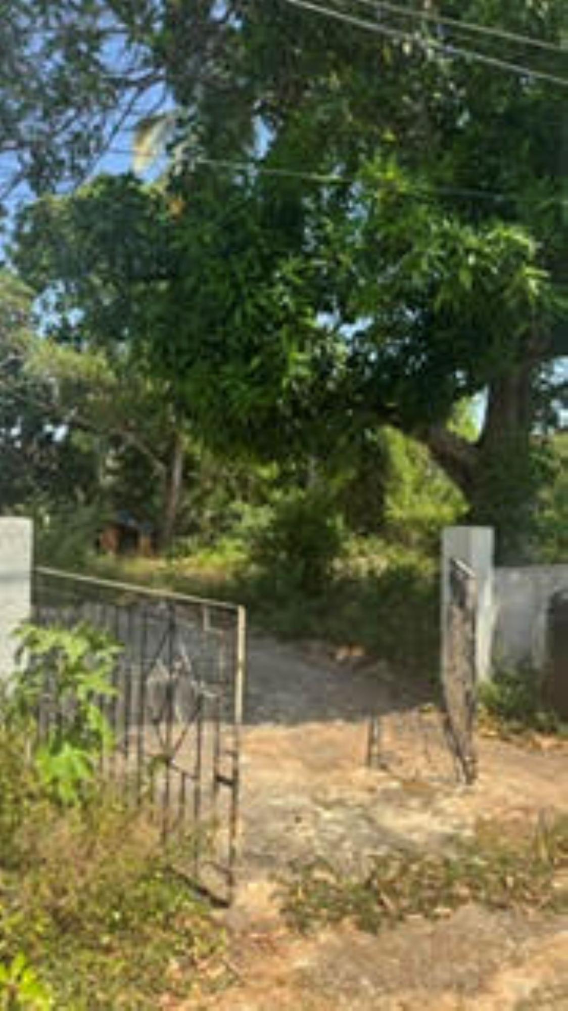 Ninth image of Lot 61a St. Pauls Way, Green Acre in Green Acres, St. Catherine, Jamaica - property is For Sale