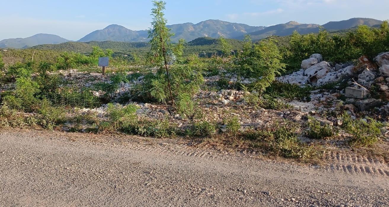 First image of Lot 98 Albion Estate, Spring Gar in Spring Garden, St. Thomas, Jamaica - property is For Sale
