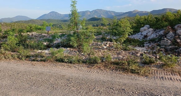 First image of Lot 98 Albion Estate, Spring Gar in Spring Garden, St. Thomas, Jamaica - property is For Sale