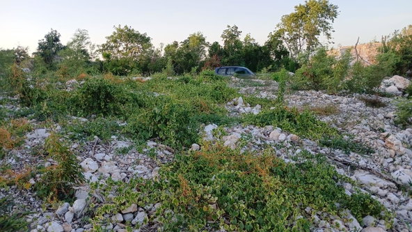 Second image of Lot 98 Albion Estate, Spring Gar in Spring Garden, St. Thomas, Jamaica - property is For Sale