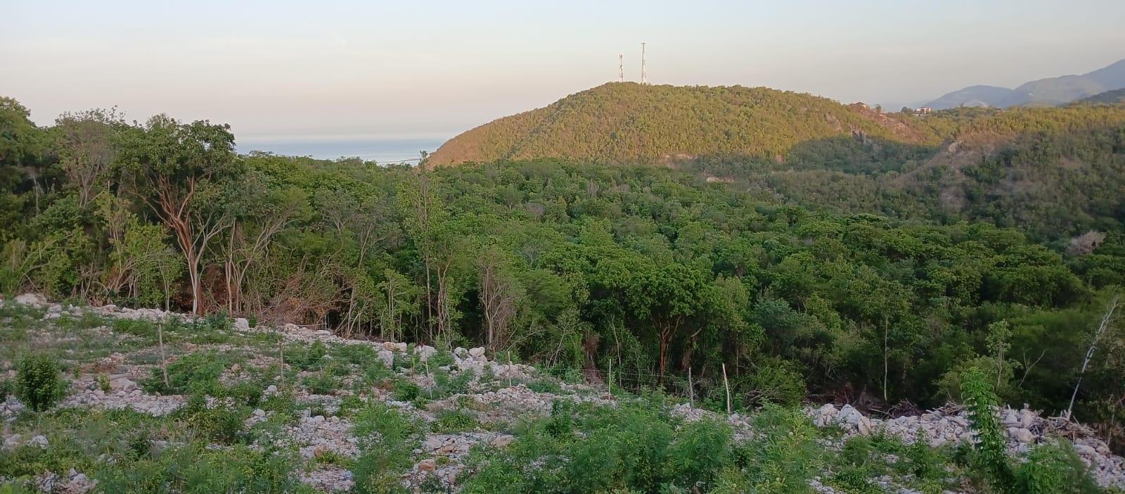 Third image of Lot 98 Albion Estate, Spring Gar in Spring Garden, St. Thomas, Jamaica - property is For Sale