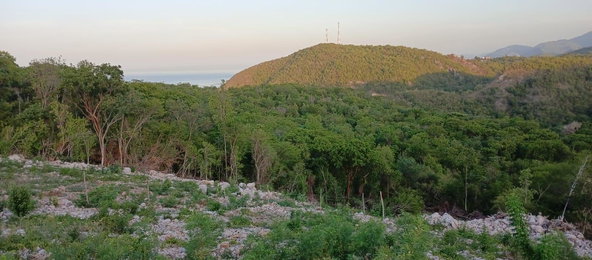 Fifth image of Lot 98 Albion Estate, Spring Gar in Spring Garden, St. Thomas, Jamaica - property is For Sale