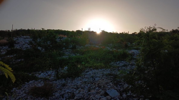 Sixth image of Lot 98 Albion Estate, Spring Gar in Spring Garden, St. Thomas, Jamaica - property is For Sale