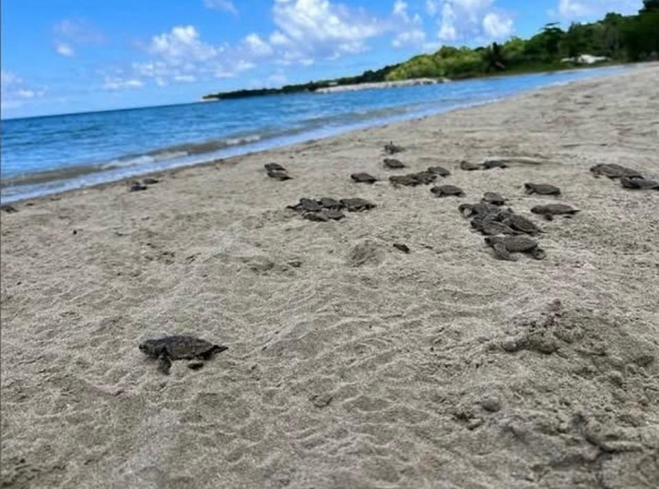 First image of 1 Gibraltar Oracabessa st m in Oracabessa, St. Mary, Jamaica - property is For Sale