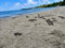 First image of 1 Gibraltar Oracabessa st m in Oracabessa, St. Mary, Jamaica - property is For Sale