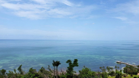 Third image of Cave, Westmoreland in Cave, Westmoreland, Jamaica - property is For Sale