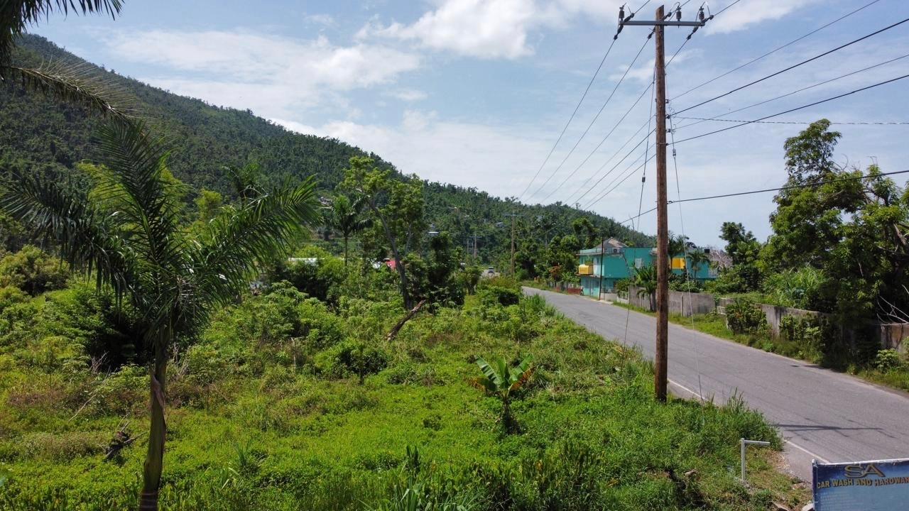 Fourth image of Cave, Westmoreland in Cave, Westmoreland, Jamaica - property is For Sale
