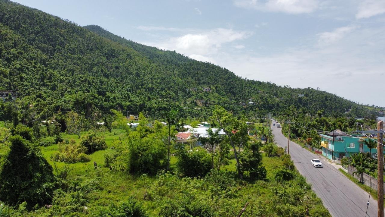 Fifth image of Cave, Westmoreland in Cave, Westmoreland, Jamaica - property is For Sale