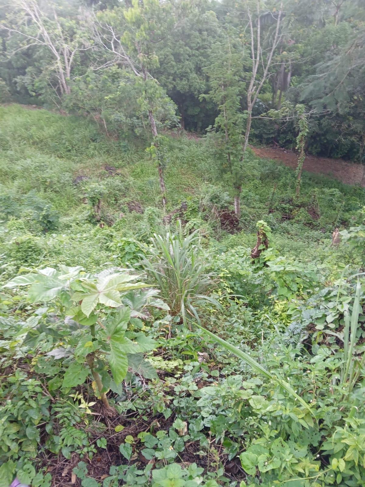 First image of Lot 10 Keith Hall, Sligoville in Sligoville, St. Catherine, Jamaica - property is For Sale