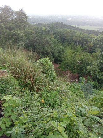 Second image of Lot 10 Keith Hall, Sligoville in Sligoville, St. Catherine, Jamaica - property is For Sale