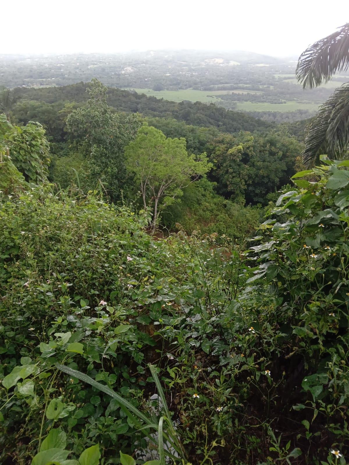Third image of Lot 10 Keith Hall, Sligoville in Sligoville, St. Catherine, Jamaica - property is For Sale
