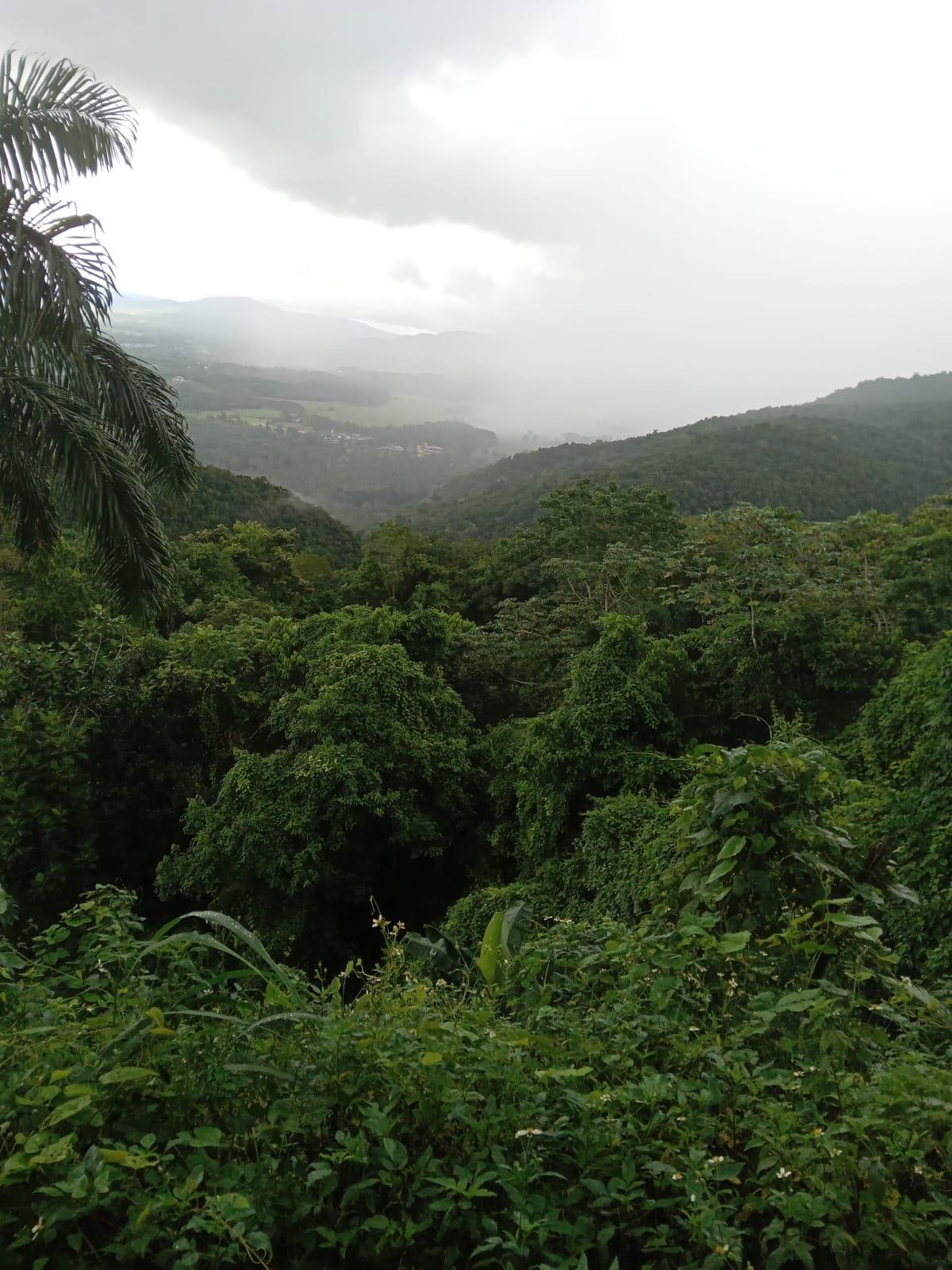 Fourth image of Lot 10 Keith Hall, Sligoville in Sligoville, St. Catherine, Jamaica - property is For Sale