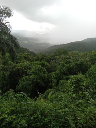 Fourth image of Lot 10 Keith Hall, Sligoville in Sligoville, St. Catherine, Jamaica - property is For Sale