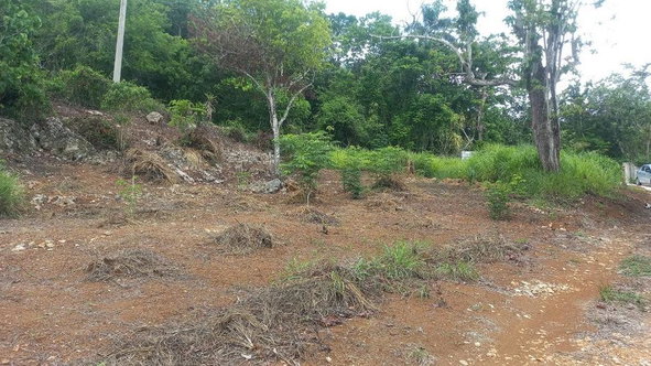 Fifth image of Lot 10 Keith Hall, Sligoville in Sligoville, St. Catherine, Jamaica - property is For Sale