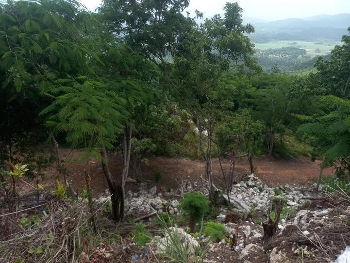 Sixth image of Lot 10 Keith Hall, Sligoville in Sligoville, St. Catherine, Jamaica - property is For Sale