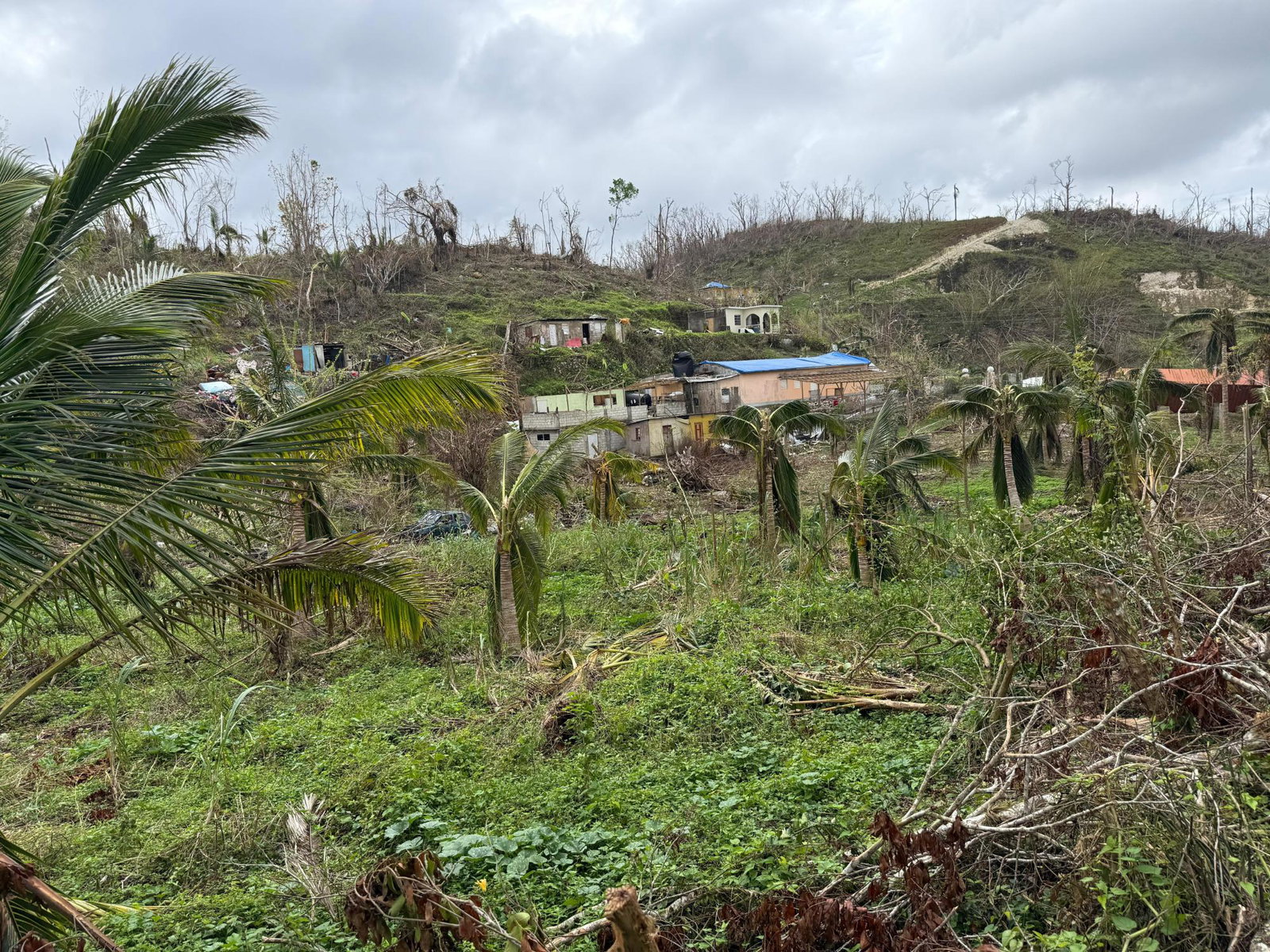 Sixth image of Ramble Pen, Bogue Hill in Montego Bay, St. James, Jamaica - property is For Sale