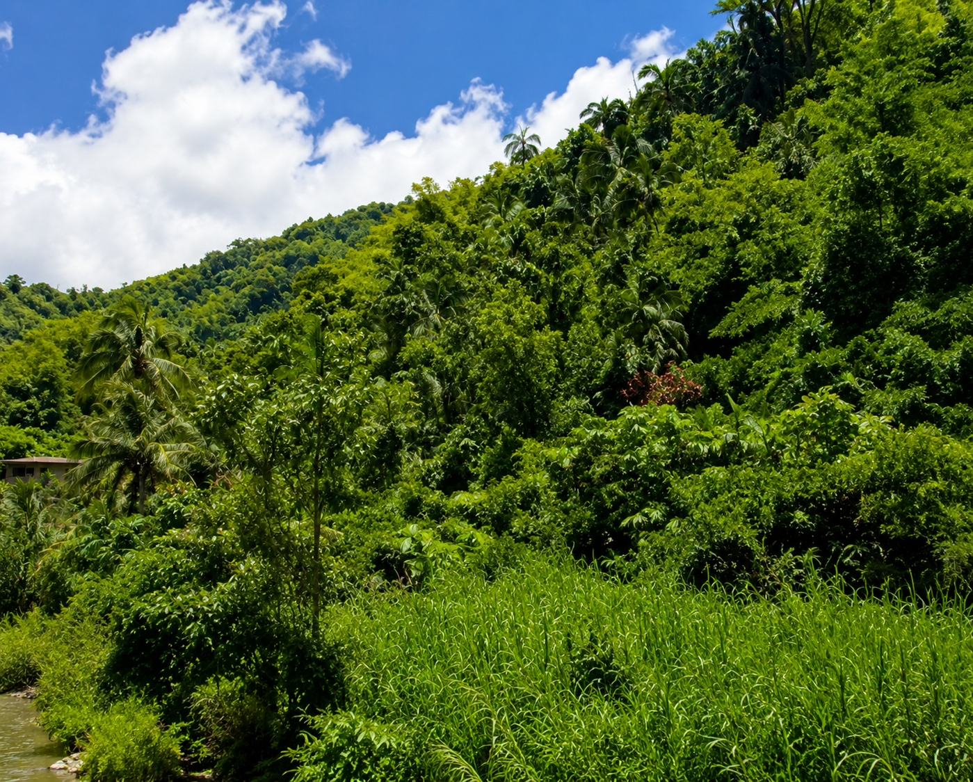Third image of Halls Green in Brandon Hill, St. Andrew, Jamaica - property is For Sale