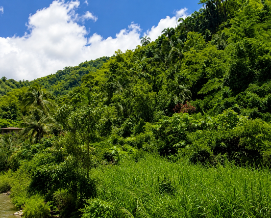 Third image of Halls Green in Brandon Hill, St. Andrew, Jamaica - property is For Sale