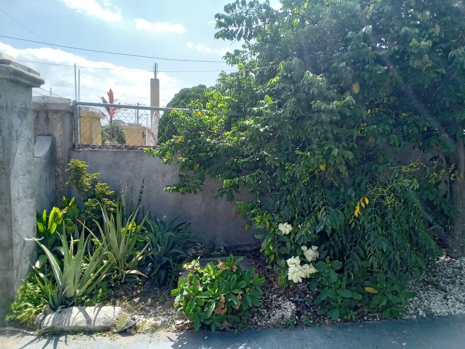 Twenty-Fifth image of 319 Stonebrook Vista, Trelawn in STONEBROOK VISTA, Trelawny, Jamaica - property is For Rent