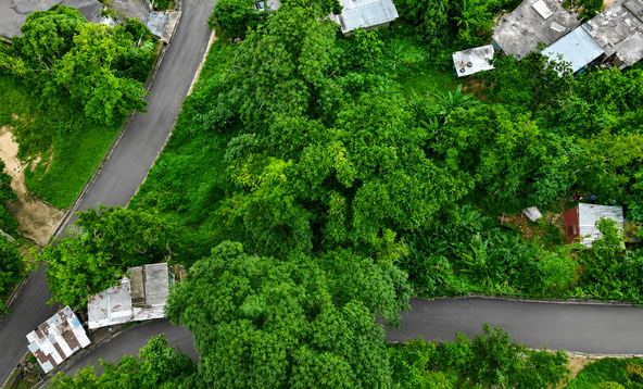 First image of Pembroke Hall Mountain in Stony Hill P.O., St. Andrew, Jamaica - property is For Sale