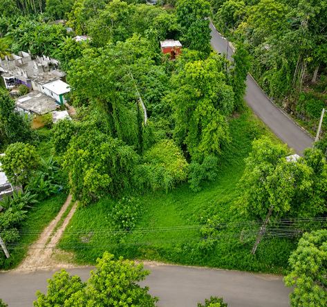Second image of Pembroke Hall Mountain in Stony Hill P.O., St. Andrew, Jamaica - property is For Sale