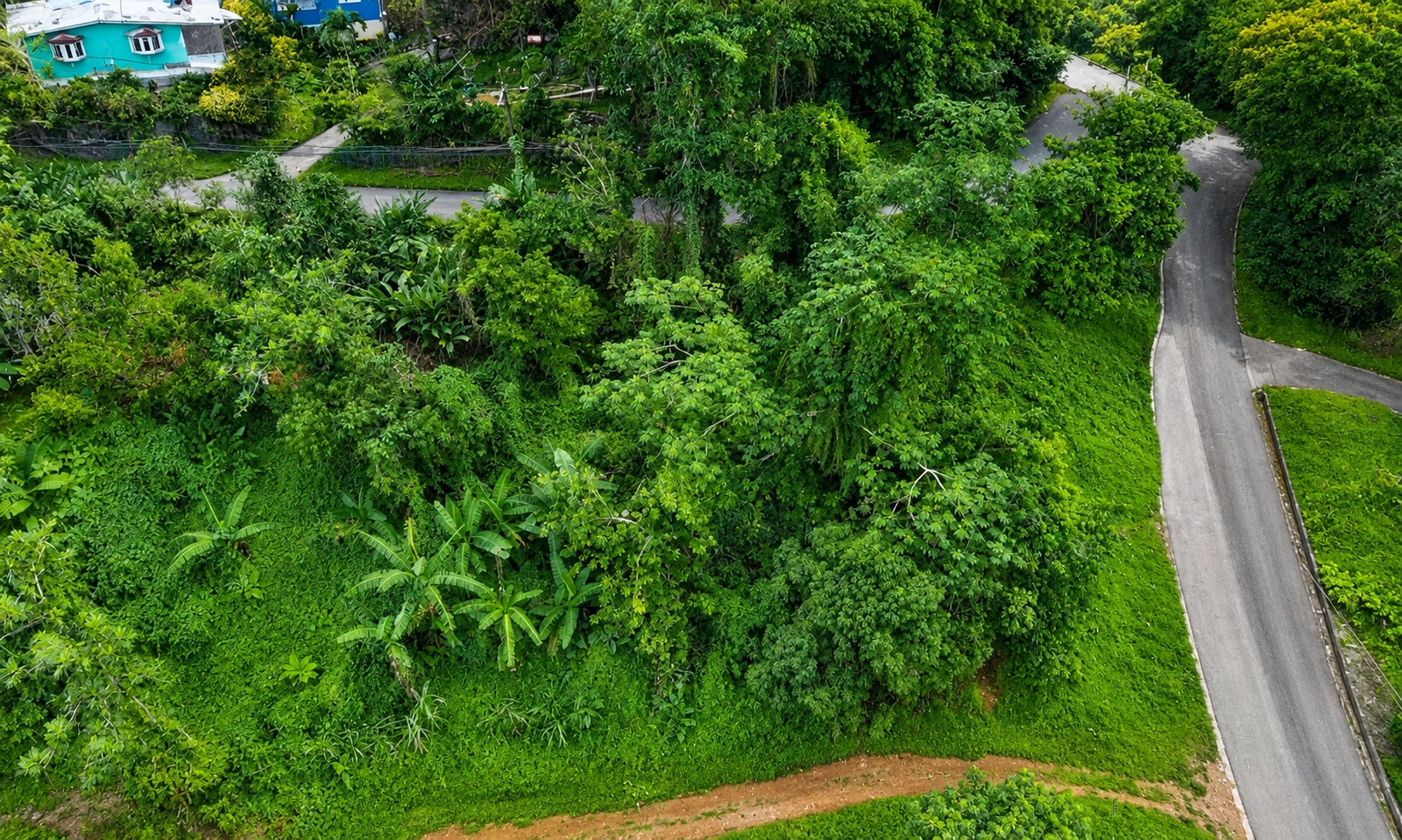 Third image of Pembroke Hall Mountain in Stony Hill P.O., St. Andrew, Jamaica - property is For Sale