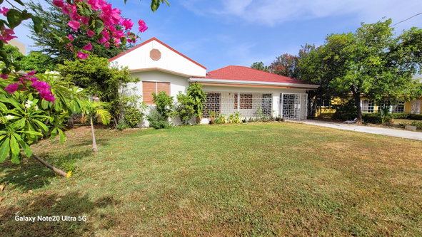 First image of 14 Lords Road in Kingston 5, St. Andrew, Jamaica - property is For Rent