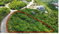 First image of Plantation Heights in Red Hills, St. Andrew, Jamaica - property is For Sale