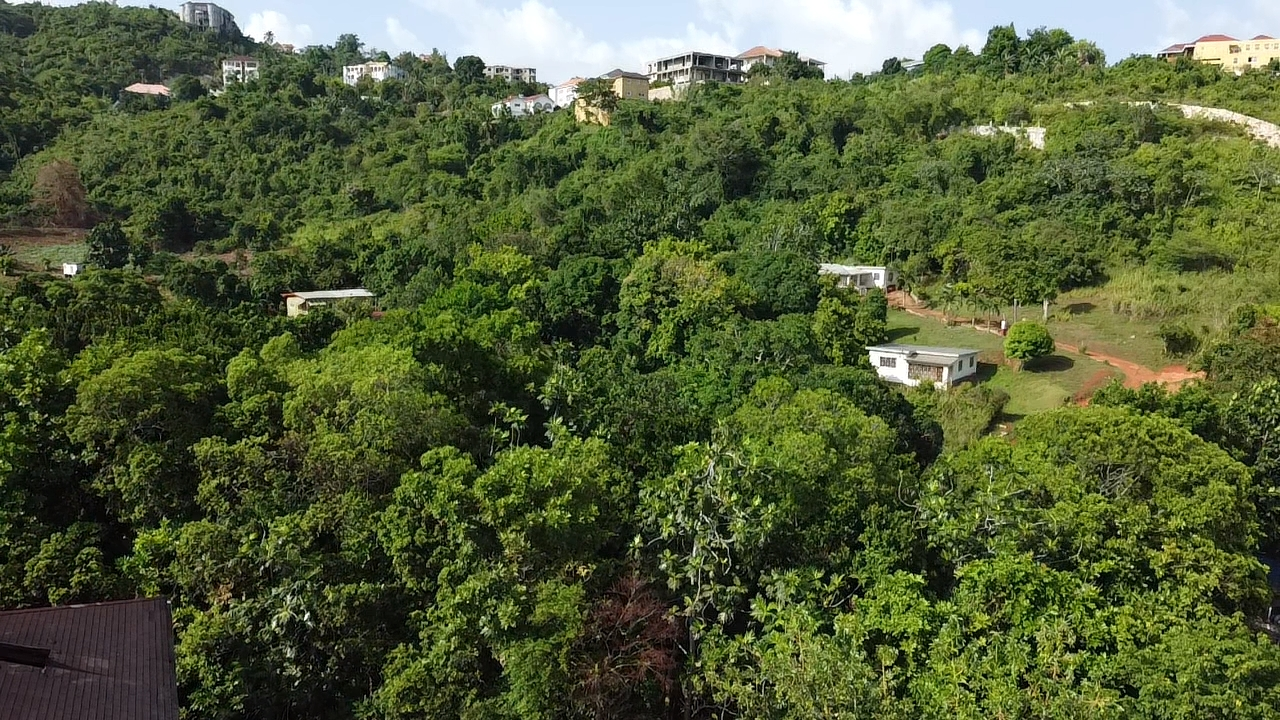 Third image of 9 Green Glebe Road, East k in Kingston 19, St. Andrew, Jamaica - property is For Sale