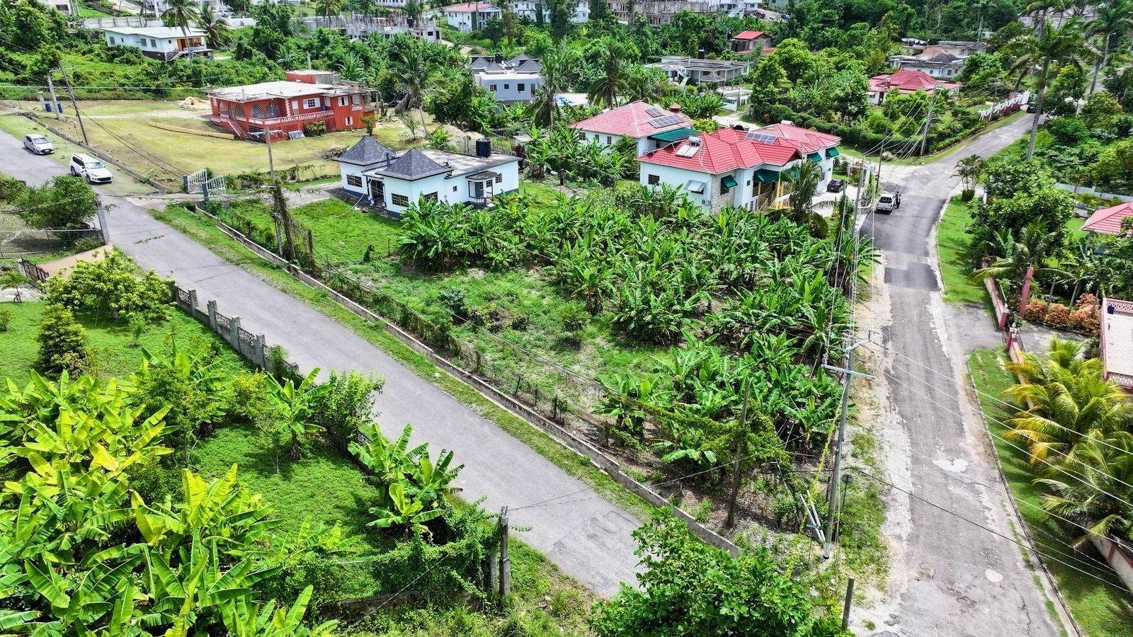 Seventh image of 63 Bogue Estate in Bogue, St. James, Jamaica - property is For Sale