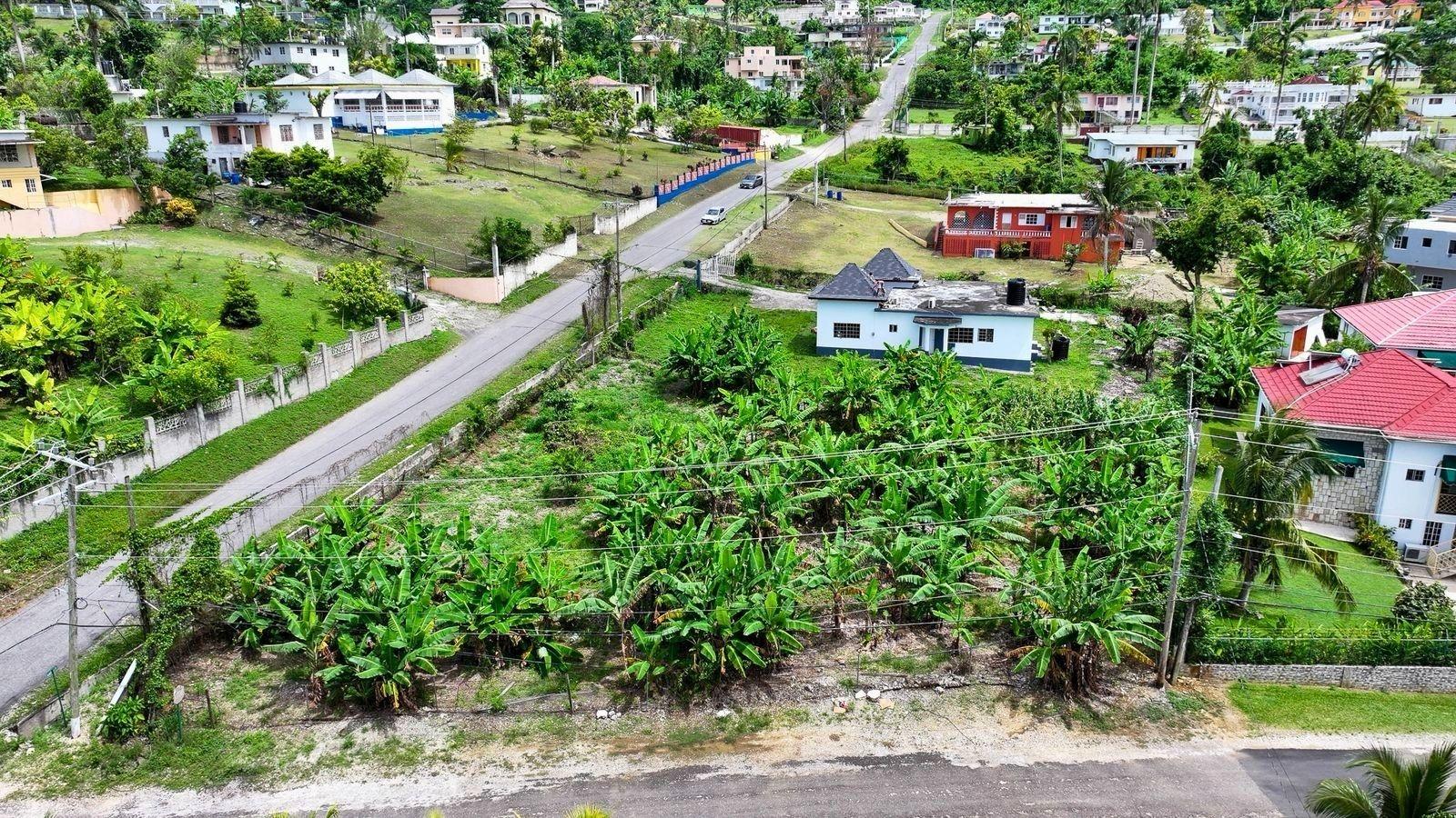 Eighth image of 63 Bogue Estate in Bogue, St. James, Jamaica - property is For Sale