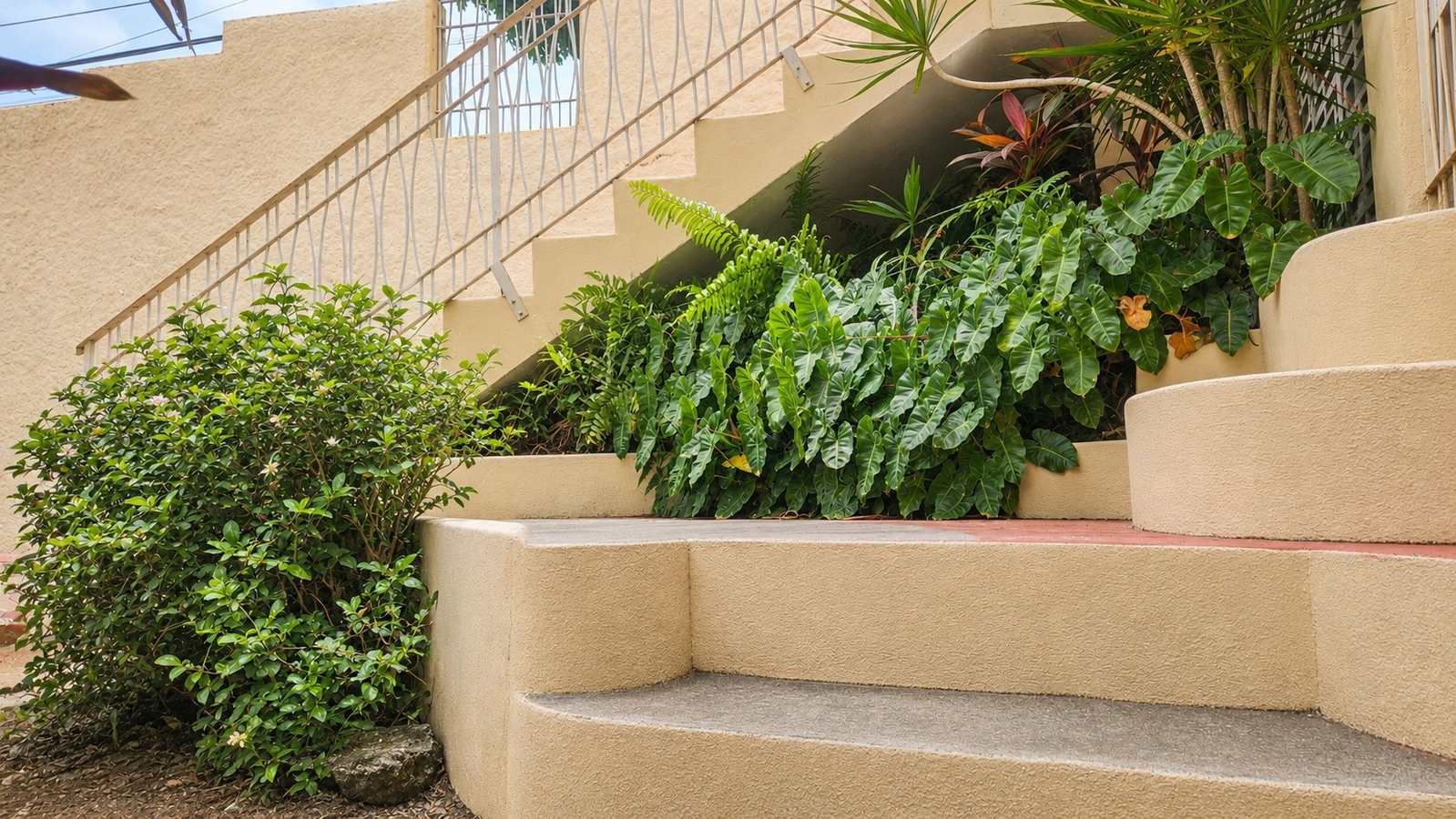 Twenty-Fourth image of 3 Ridgeway Terrace, Kingsto in Kingston 6, St. Andrew, Jamaica - property is For Sale