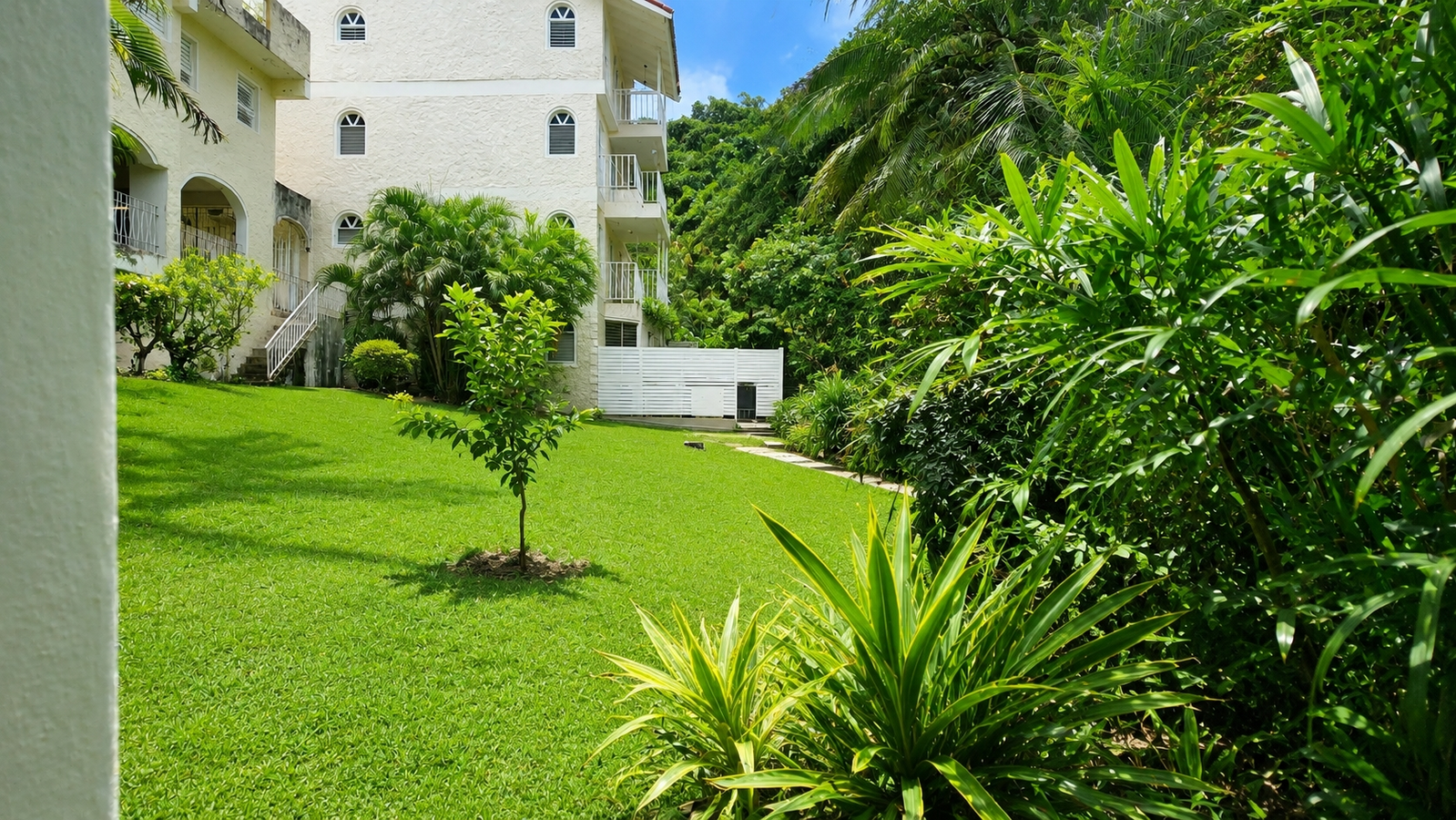 Twenty-Fifth image of 3 Ridgeway Terrace, Kingsto in Kingston 6, St. Andrew, Jamaica - property is For Sale