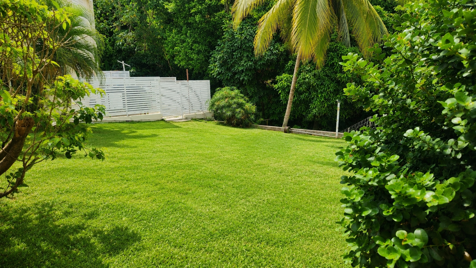 Twenty-Eighth image of 3 Ridgeway Terrace, Kingsto in Kingston 6, St. Andrew, Jamaica - property is For Sale