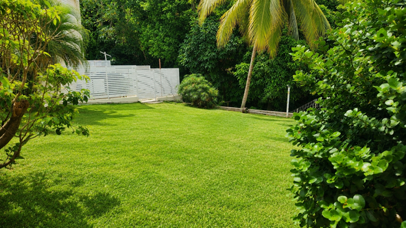 Twenty-Eighth image of 3 Ridgeway Terrace, Kingsto in Kingston 6, St. Andrew, Jamaica - property is For Sale