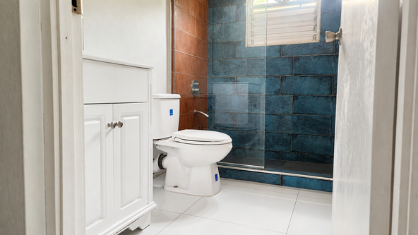 Eighth image of 3 Ridgeway Terrace, Kingsto in Kingston 6, St. Andrew, Jamaica - property is For Sale