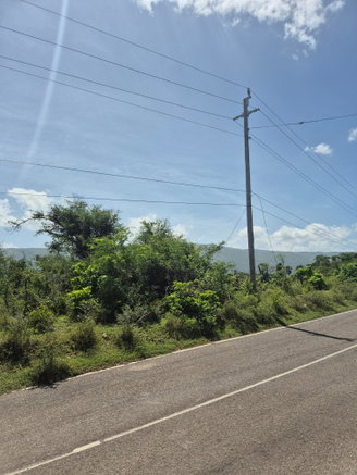First image of Black River to Pedro Cros in Brucefield, St. Elizabeth, Jamaica - property is For Sale