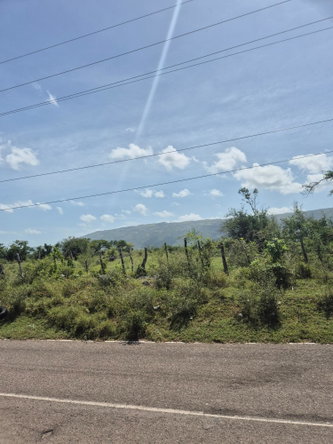 Second image of Black River to Pedro Cros in Brucefield, St. Elizabeth, Jamaica - property is For Sale