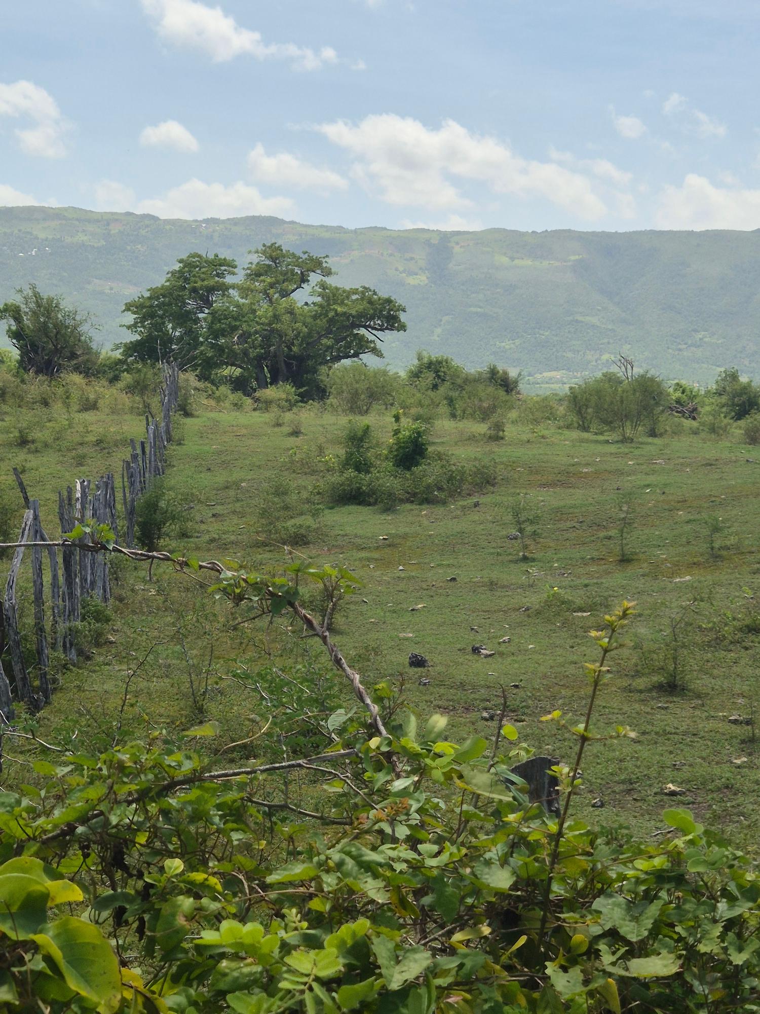 Fourth image of Black River to Pedro Cros in Brucefield, St. Elizabeth, Jamaica - property is For Sale