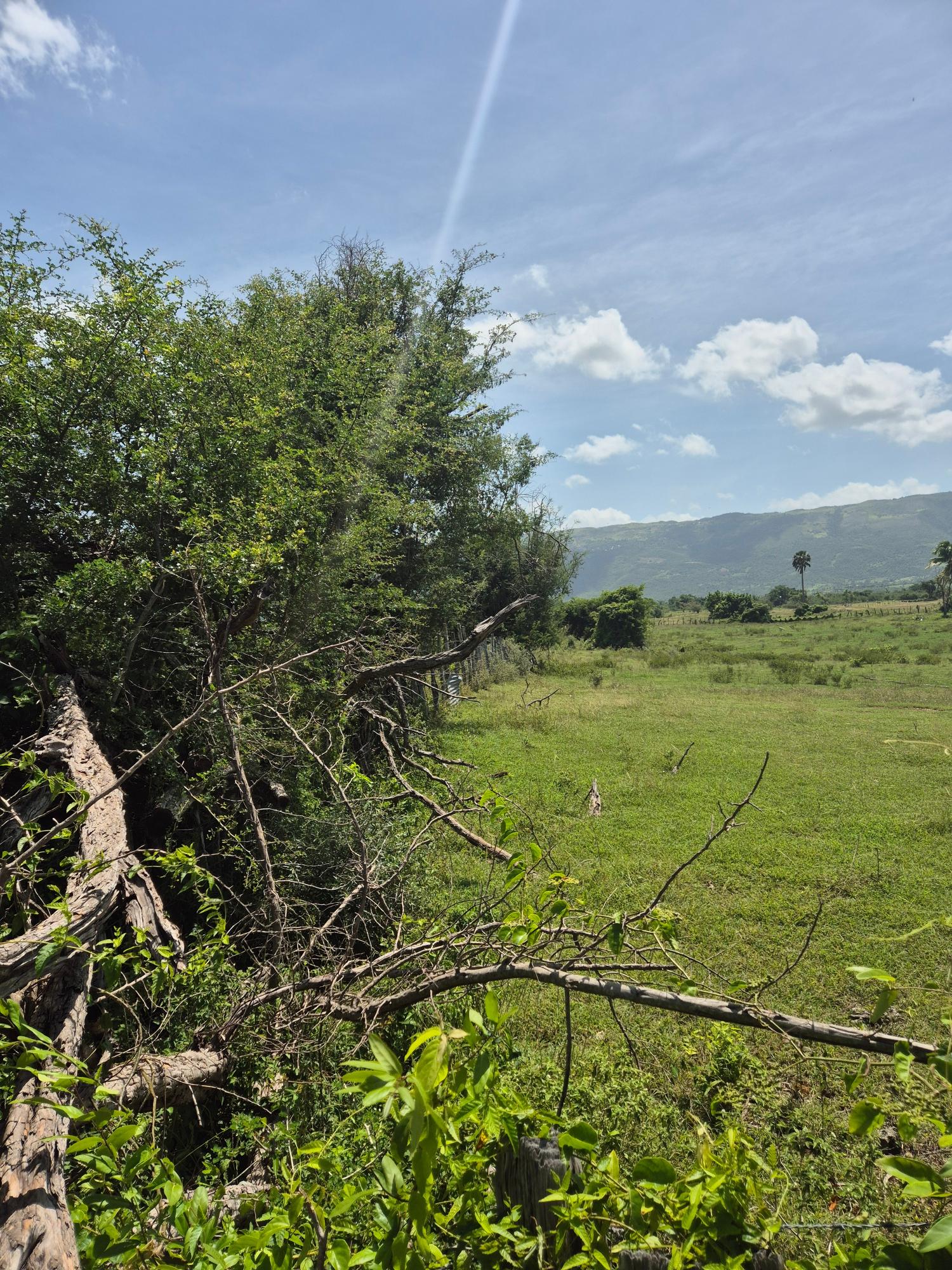 Sixth image of Black River to Pedro Cros in Brucefield, St. Elizabeth, Jamaica - property is For Sale