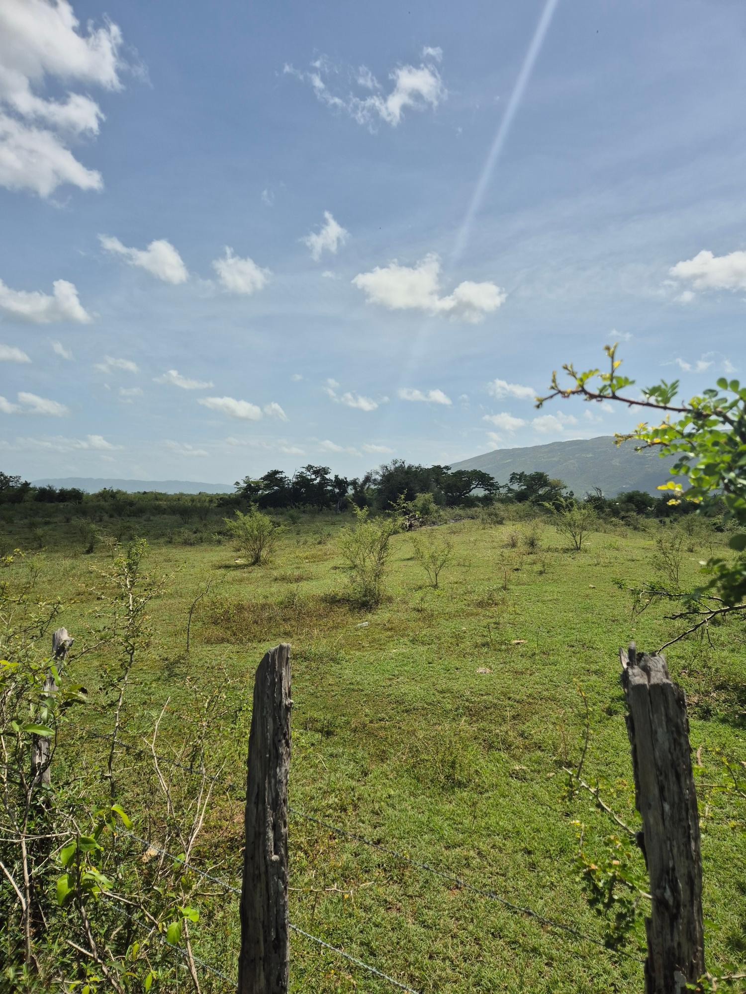 Seventh image of Black River to Pedro Cros in Brucefield, St. Elizabeth, Jamaica - property is For Sale