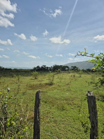 Seventh image of Black River to Pedro Cros in Brucefield, St. Elizabeth, Jamaica - property is For Sale