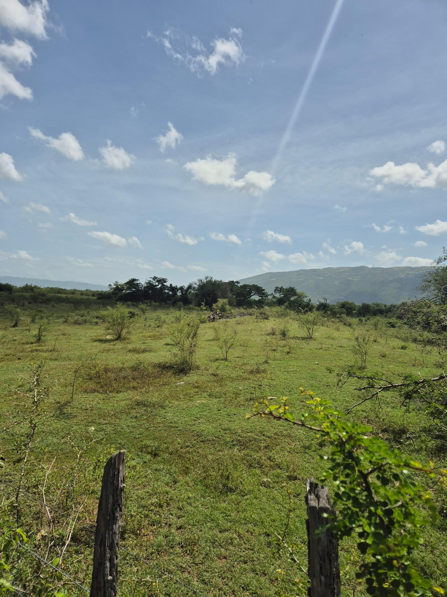 Eighth image of Black River to Pedro Cros in Brucefield, St. Elizabeth, Jamaica - property is For Sale