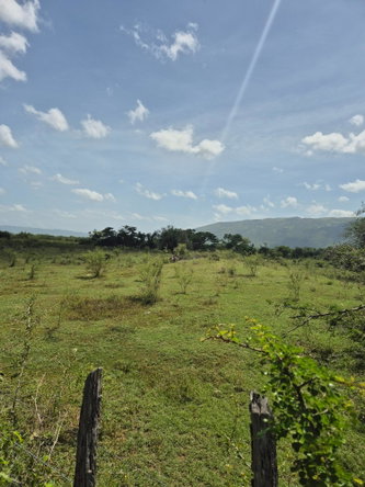 Eighth image of Black River to Pedro Cros in Brucefield, St. Elizabeth, Jamaica - property is For Sale