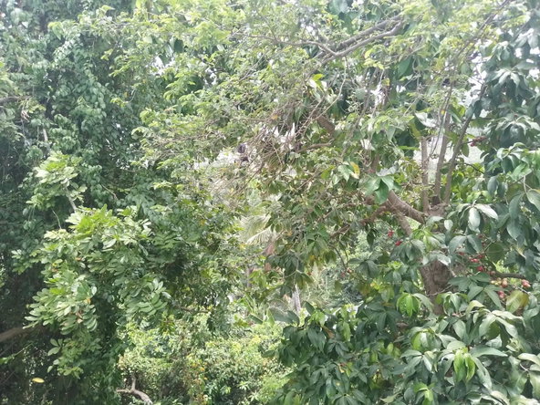 Twenty-Sixth image of West Great House Circle in Kingston 19, St. Andrew, Jamaica - property is For Sale